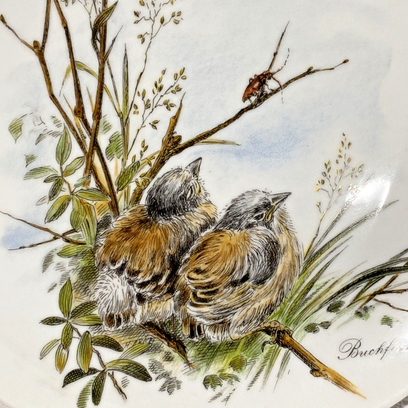 Vintage Kaiser W Germany Fine Porcelain Nature Bird Decor Plate Buchfinken Finch - Picture 4 of 6